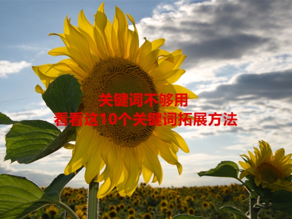 關(guān)鍵詞不夠用，看看這10個關(guān)鍵詞拓展方法！